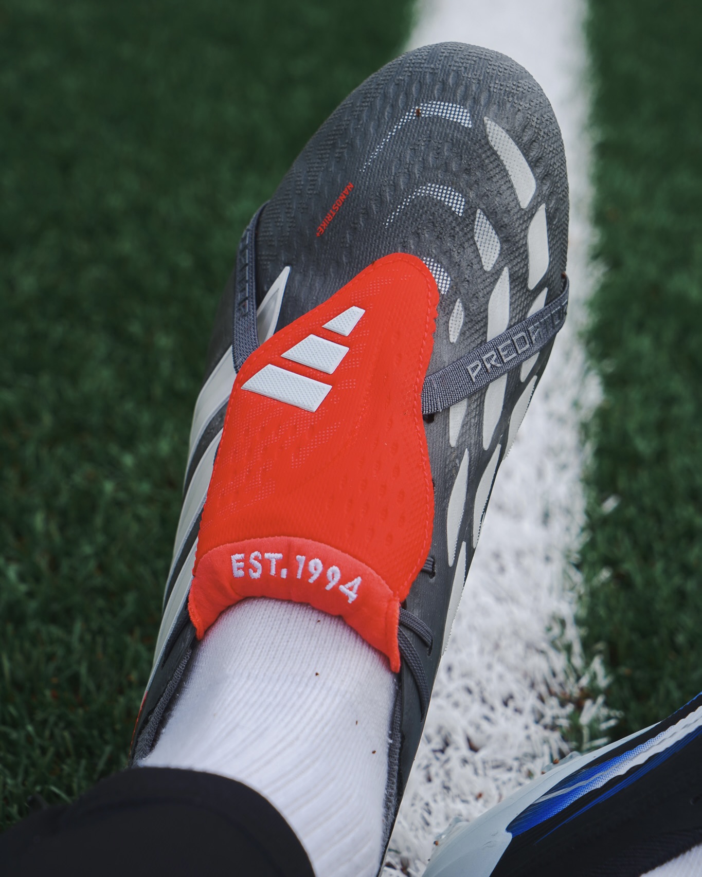 Adidas Predator 2026 vs Predator 2025