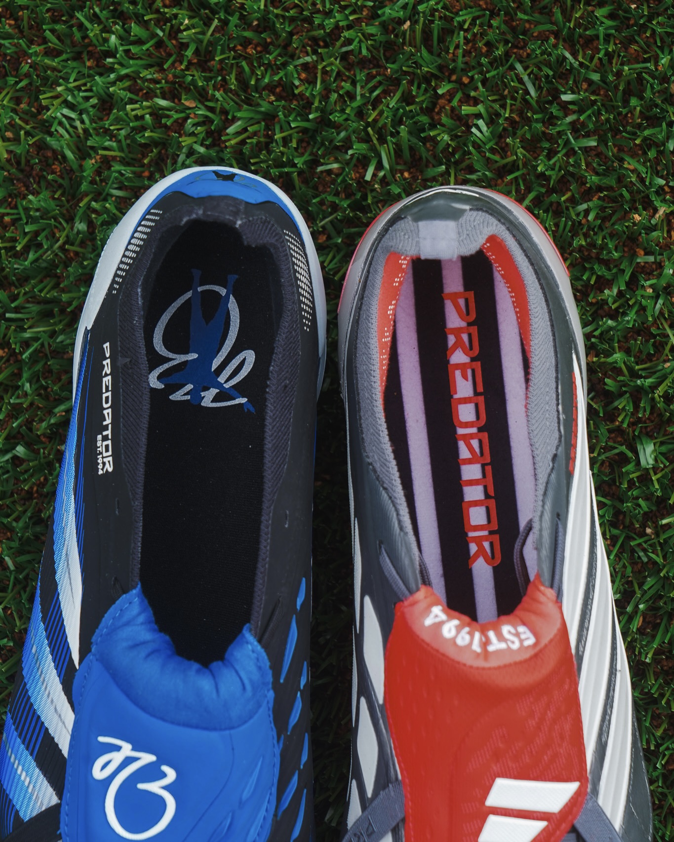 Adidas Predator 2026 vs Predator 2025