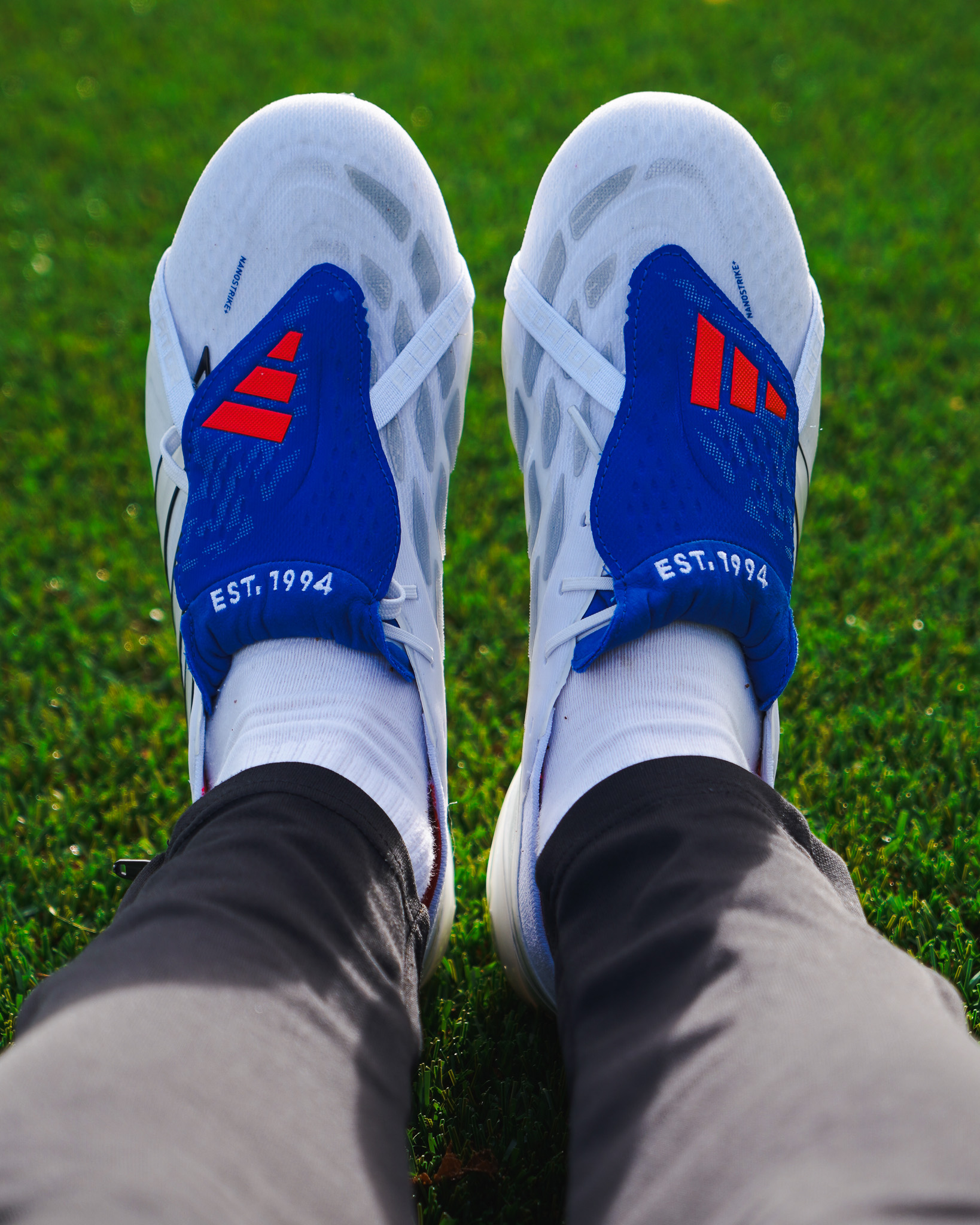 Jude Bellingham Predator 2026