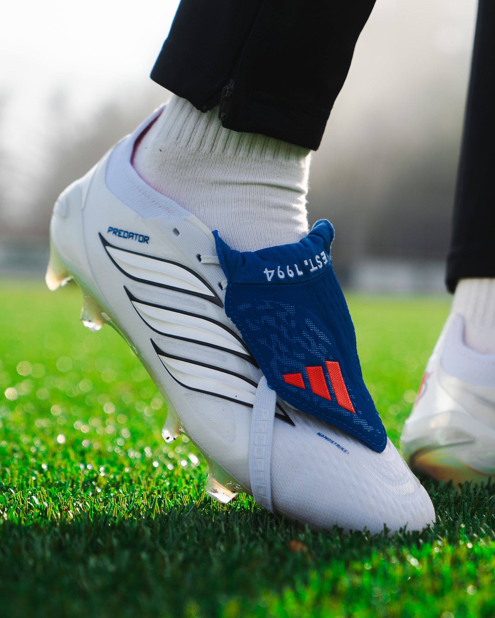 Jude Bellingham Predator 2026