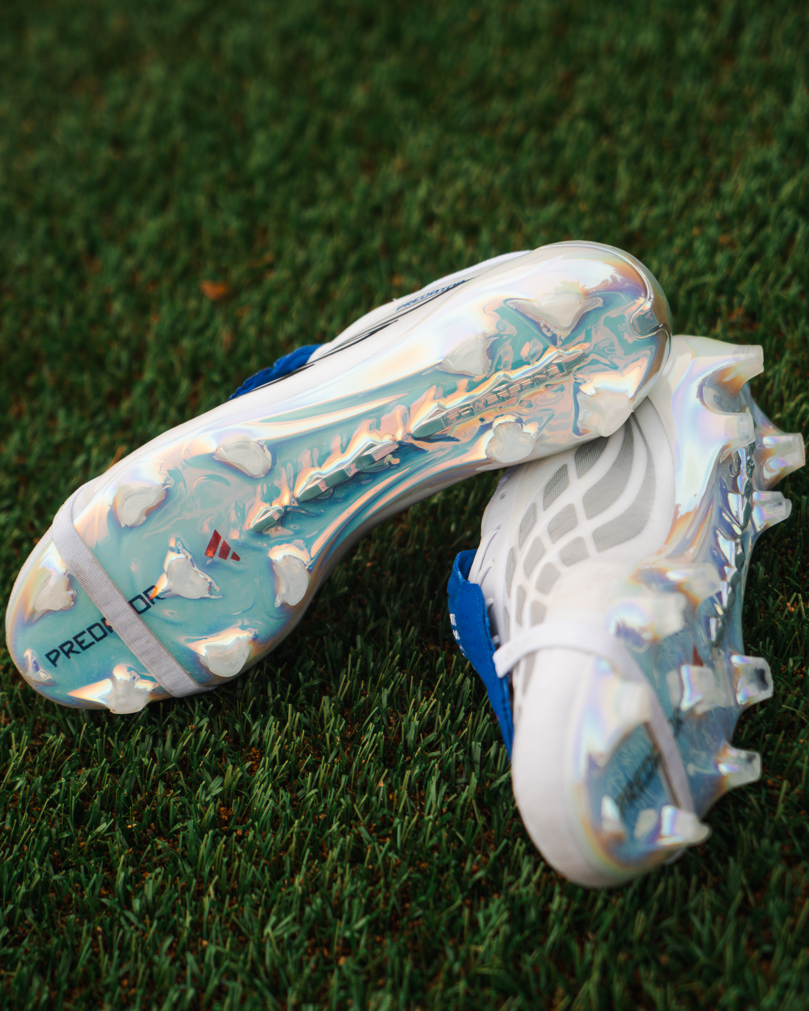 Jude Bellingham Predator 2026