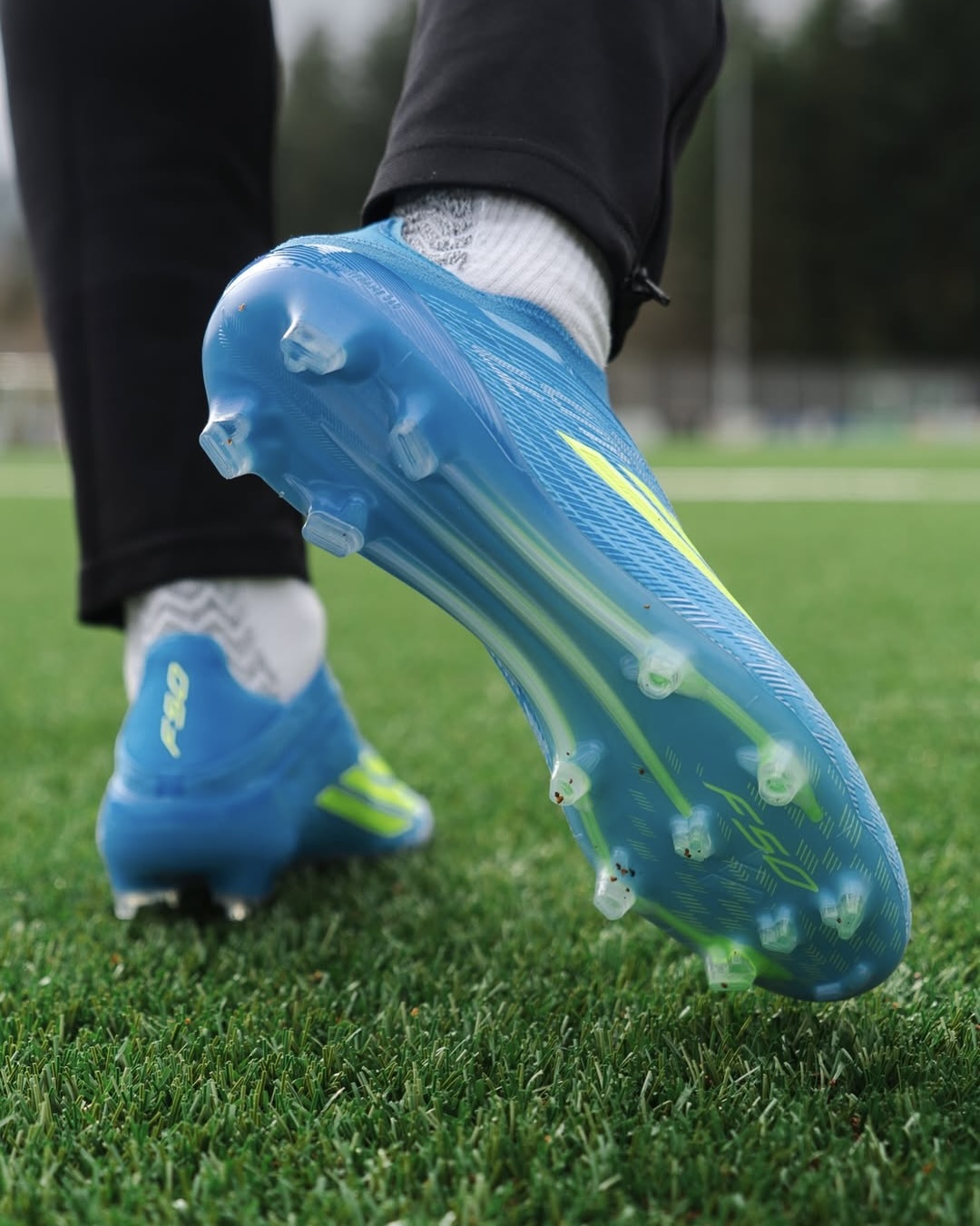 SnapInsta.to_656292277_18094864910281797_3721408126514510553_n