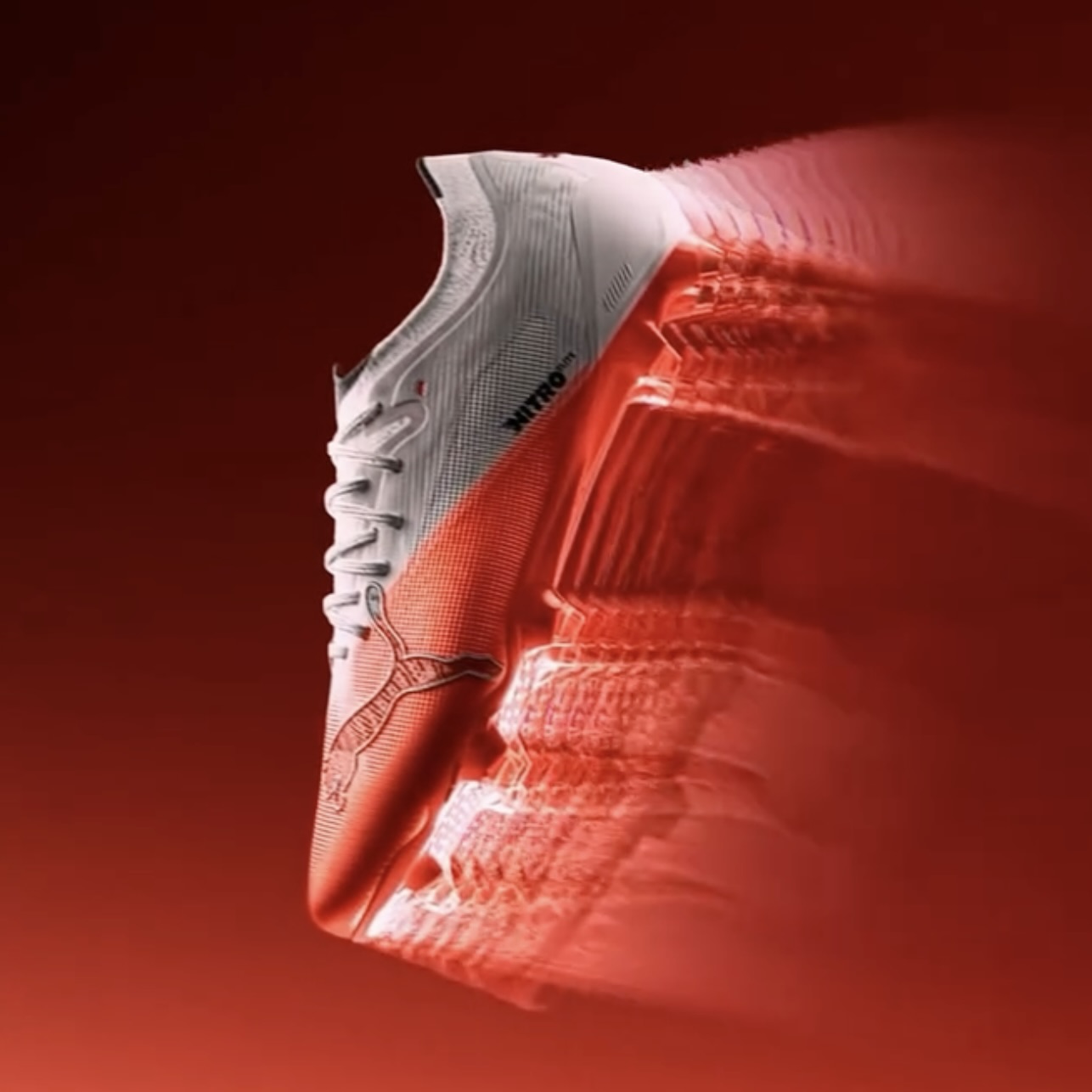 Puma Arrival Pack