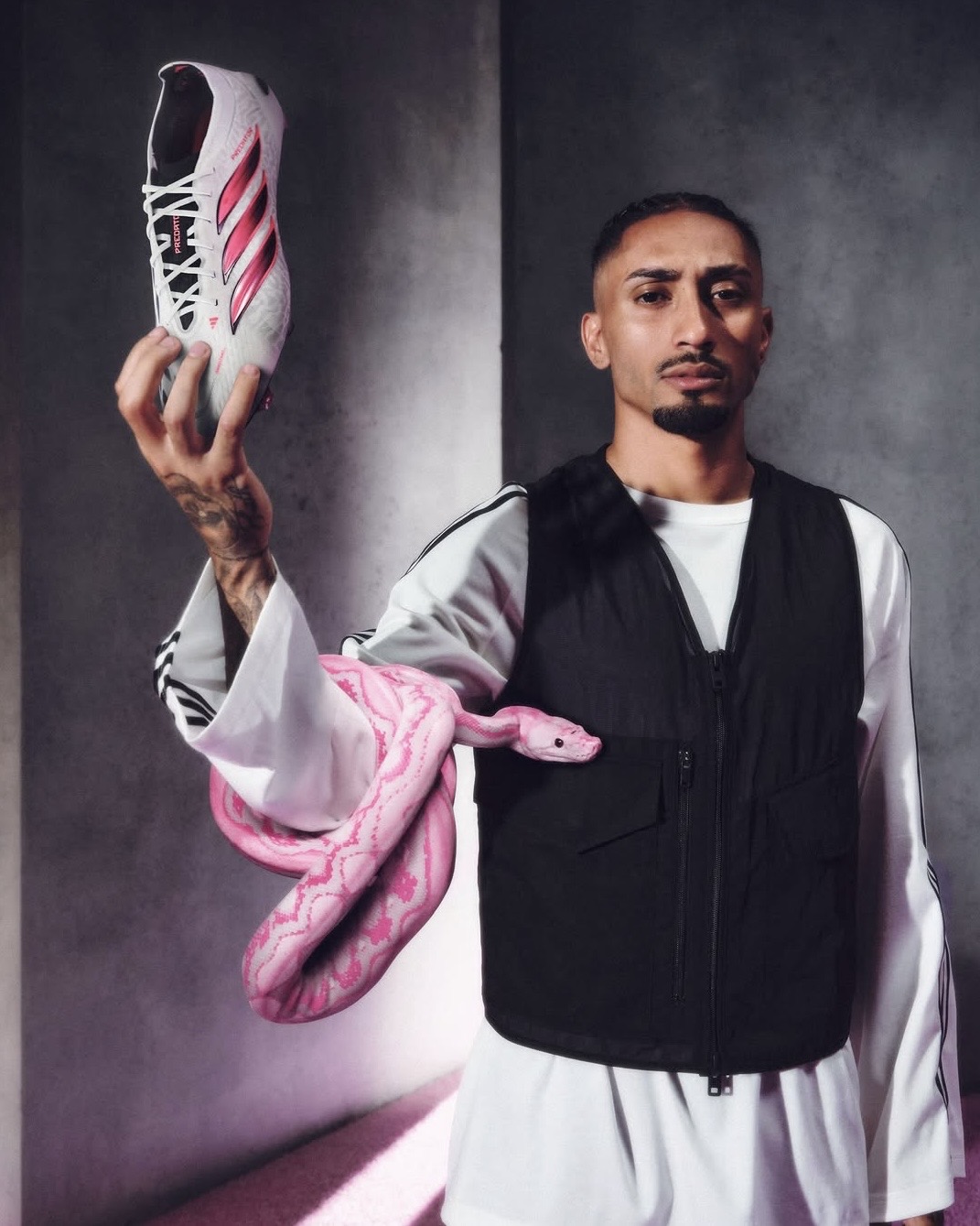 Adidas F50 oder Adidas Predator – welcher Fußballschuh passt besser zu mir? Adidas F50 oder Adidas Predator – welcher Fußballschuh passt besser zu mir?